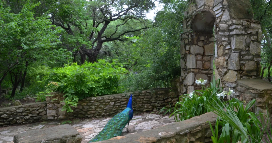 A Local’s Guide to Outdoor Adventures in Austin