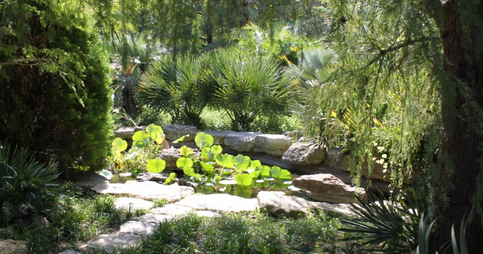 A Local’s Guide to Outdoor Adventures in Austin