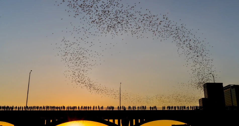 A Local’s Guide to Outdoor Adventures in Austin