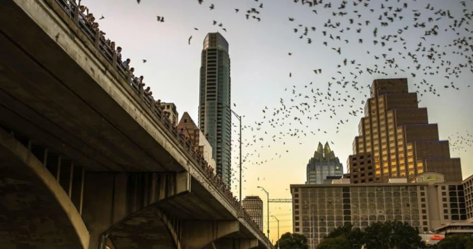 10 cosas gratis que hacer en Austin que realmente valen la pena